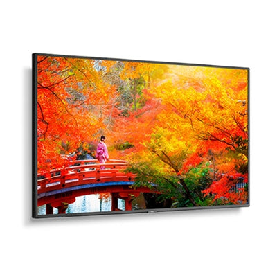 49 LED LCD Public Dsply Mntr