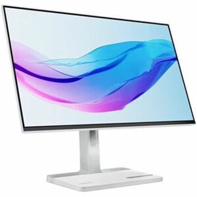 L24m 4A 23.8" WLED AG Monitor