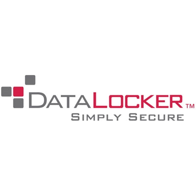 DataLocker H350 Enterprise 1TB