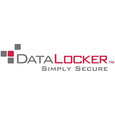 DataLocker H350 Enterprise 1TB