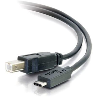 6ft USB 2.0 Type C To Standard