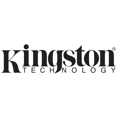 Kingston Data Traveler